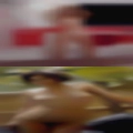 Swingers lines