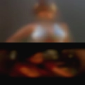 Hermaphrodite looking for