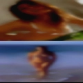 Tennessee swinger clips