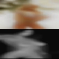 Sex tapes with girls Selmer